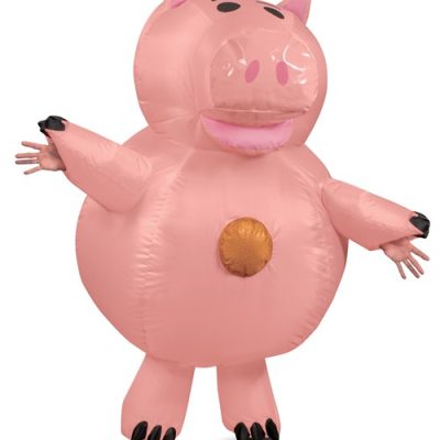 HAMM TOY STORY “EXCLUSIVO”